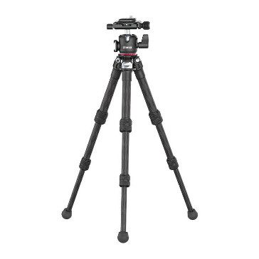 Hình minh họa câu hỏi